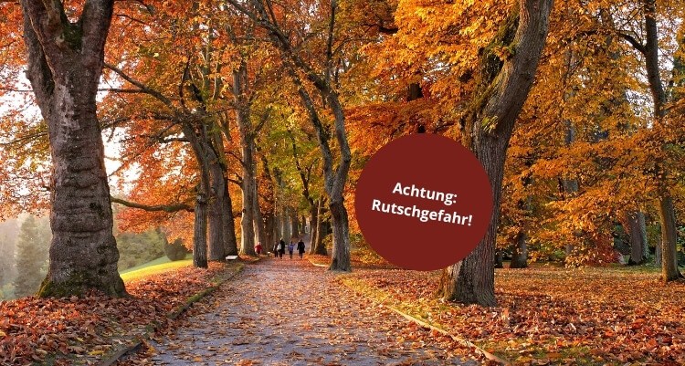 Rutschgefahr im Herbst: Risiken, Pflichten und Vorbeugung