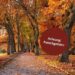 Herbstlicher Parkweg mit dichtem Laub auf dem Boden und dem Hinweis „Achtung: Rutschgefahr!“.